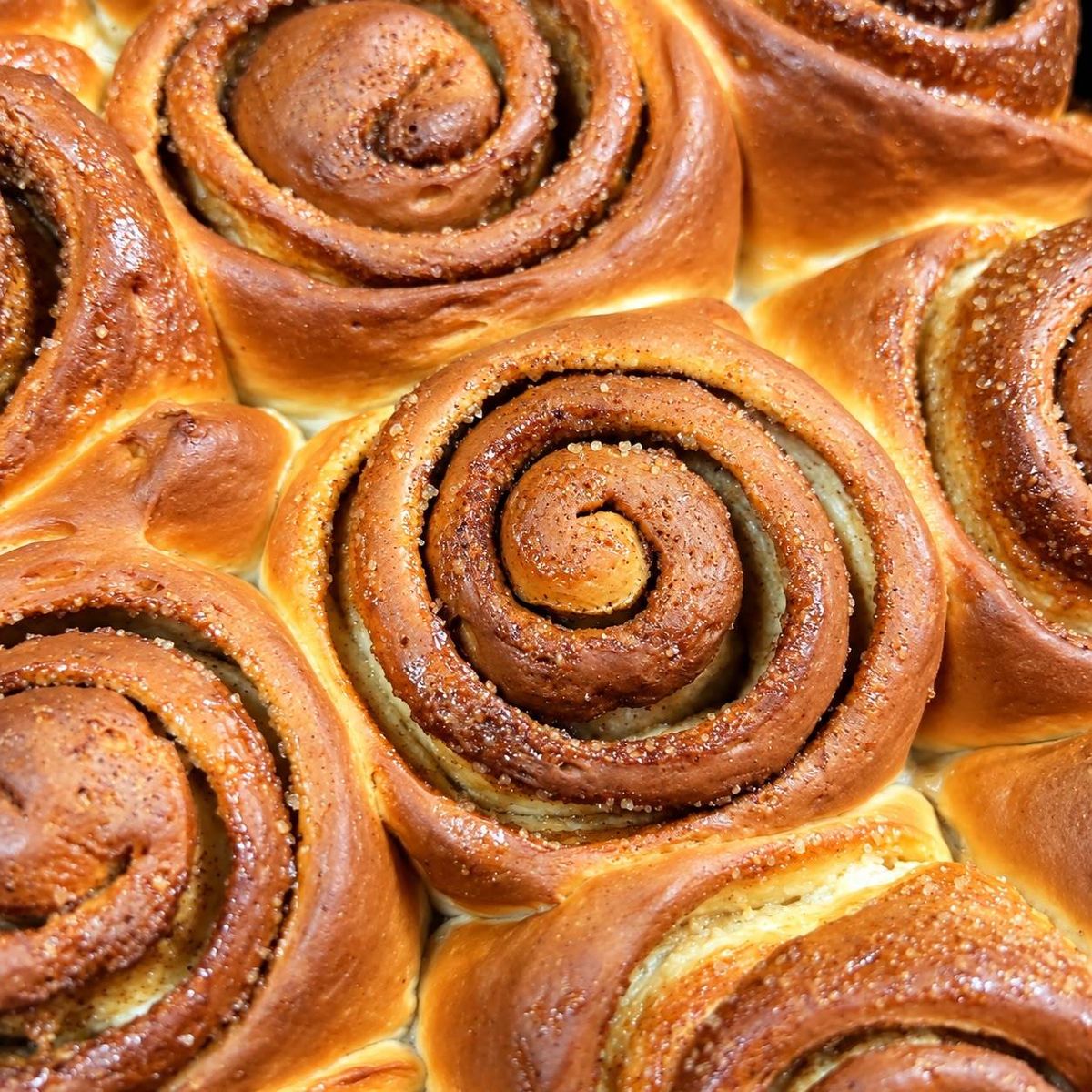 Cinnamon Roll Clasic